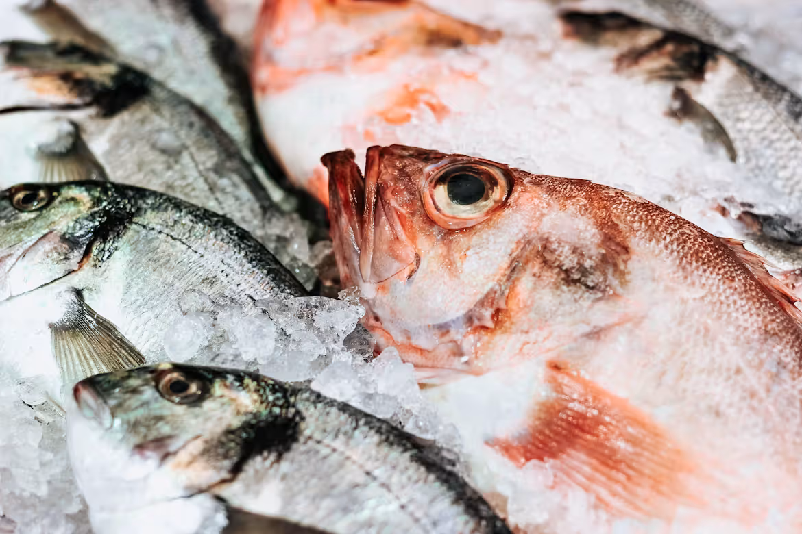 From Ocean to Table: Why Exceptional Seafood Begins with Responsible Sourcing