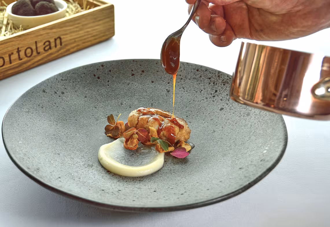 Beyond the Stars: The Pursuit of Excellence in Michelin-Level Restaurants
