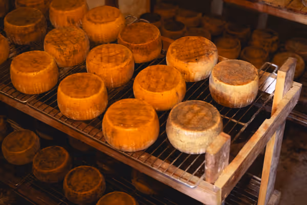 The Secret World of Cheese Affinage: Where Time Creates Flavor