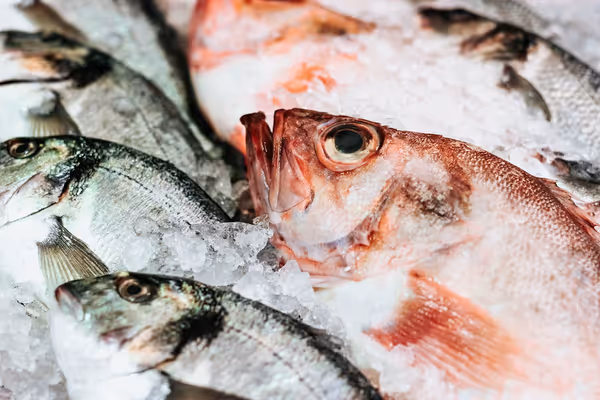 From Ocean to Table: Why Exceptional Seafood Begins with Responsible Sourcing