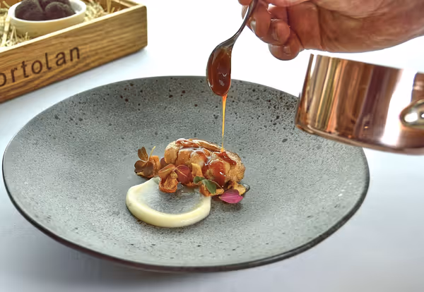 Beyond the Stars: The Pursuit of Excellence in Michelin-Level Restaurants